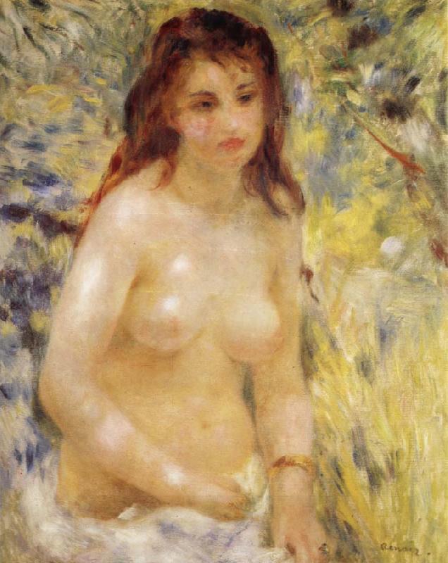 Pierre-Auguste Renoir The female nude under the sun China oil painting art
